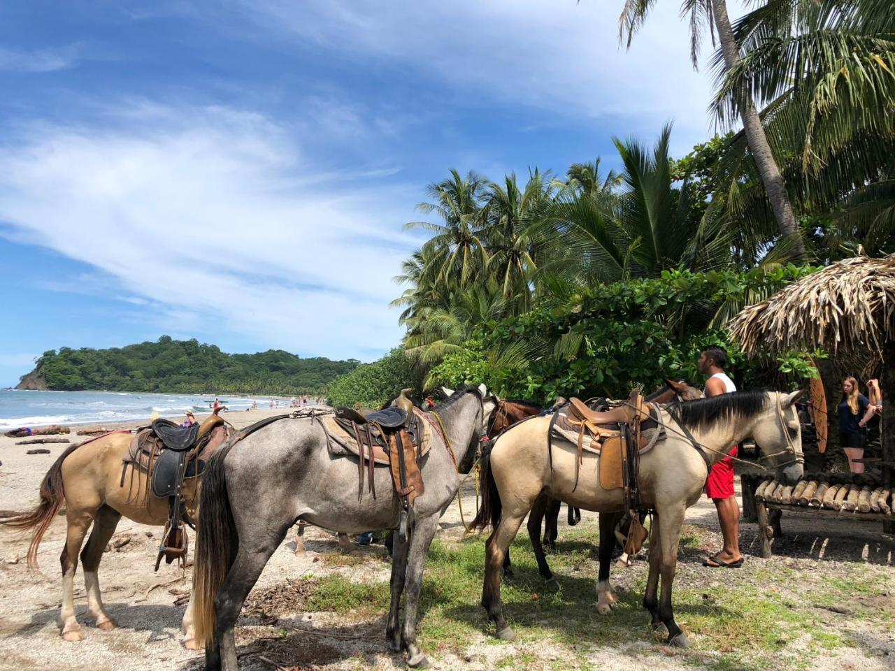 Macao Beach Sámara Exteriör bild