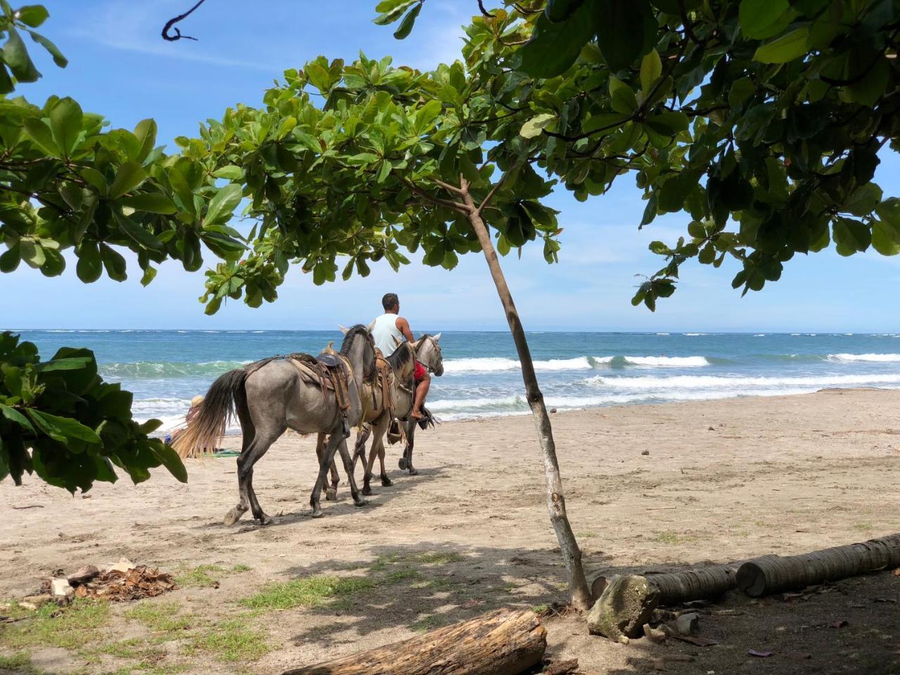 Macao Beach Sámara Exteriör bild