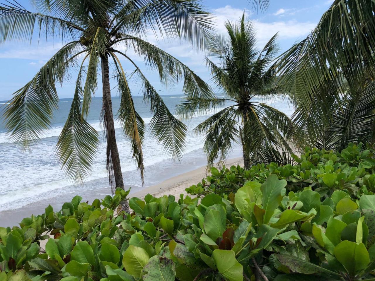 Macao Beach Sámara Exteriör bild